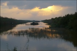 Albufera 5