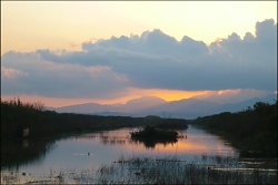 Albufera 6