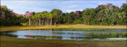 Pantanal 20