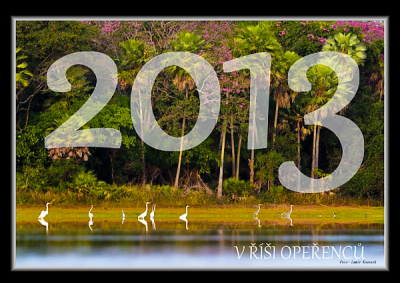 2013/1