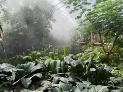 Tropick&yacute; pavilon 1