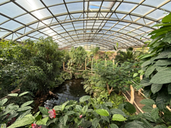 Tropick&yacute; pavilon 2