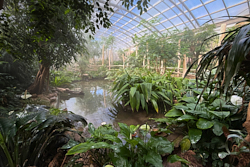 Tropick&yacute; pavilon 3